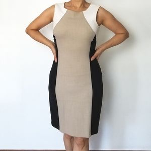 BCX Colorblock Dress